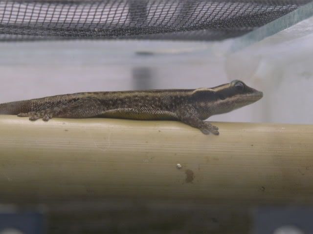 DSCN3861.jpg