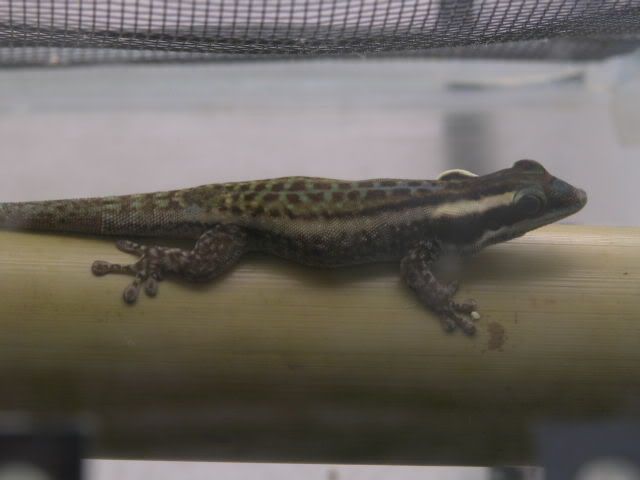 DSCN3864.jpg