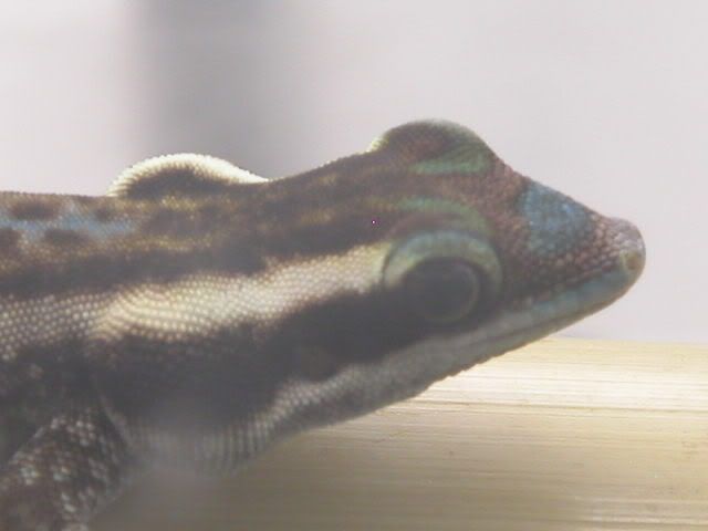 DSCN3866.jpg