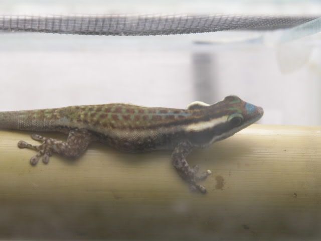 DSCN3870.jpg