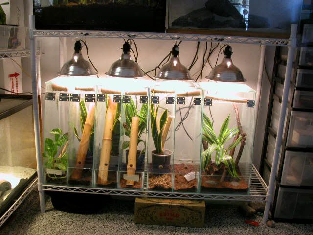 DSCN4092.jpg