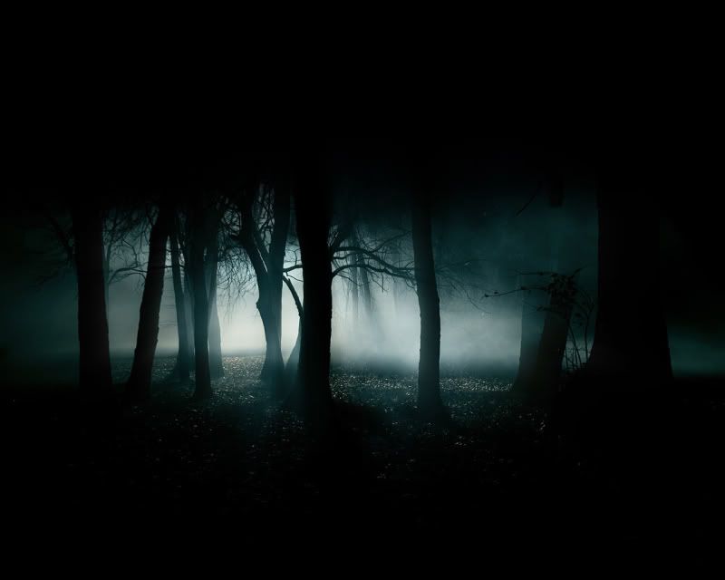 wallpaper dark forest. dark forest Wallpaper