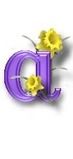 Daffodil_Dawn_Aa.jpg picture by AJWHINER