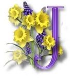 Daffodil_Dawn_J.jpg picture by AJWHINER