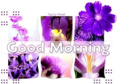 purpleflowers.jpg picture by AJWHINER