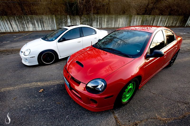 White Srt