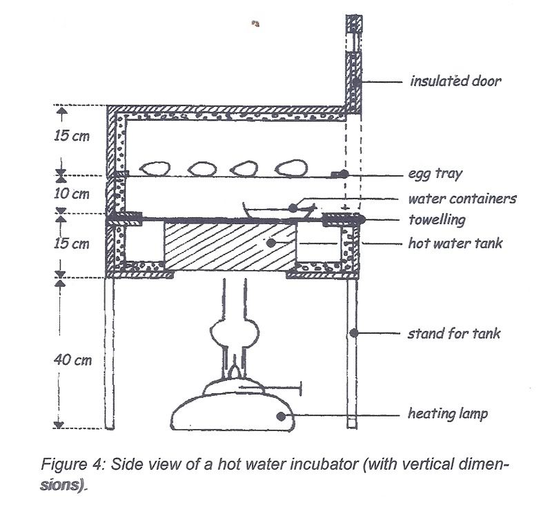 an egg incubator