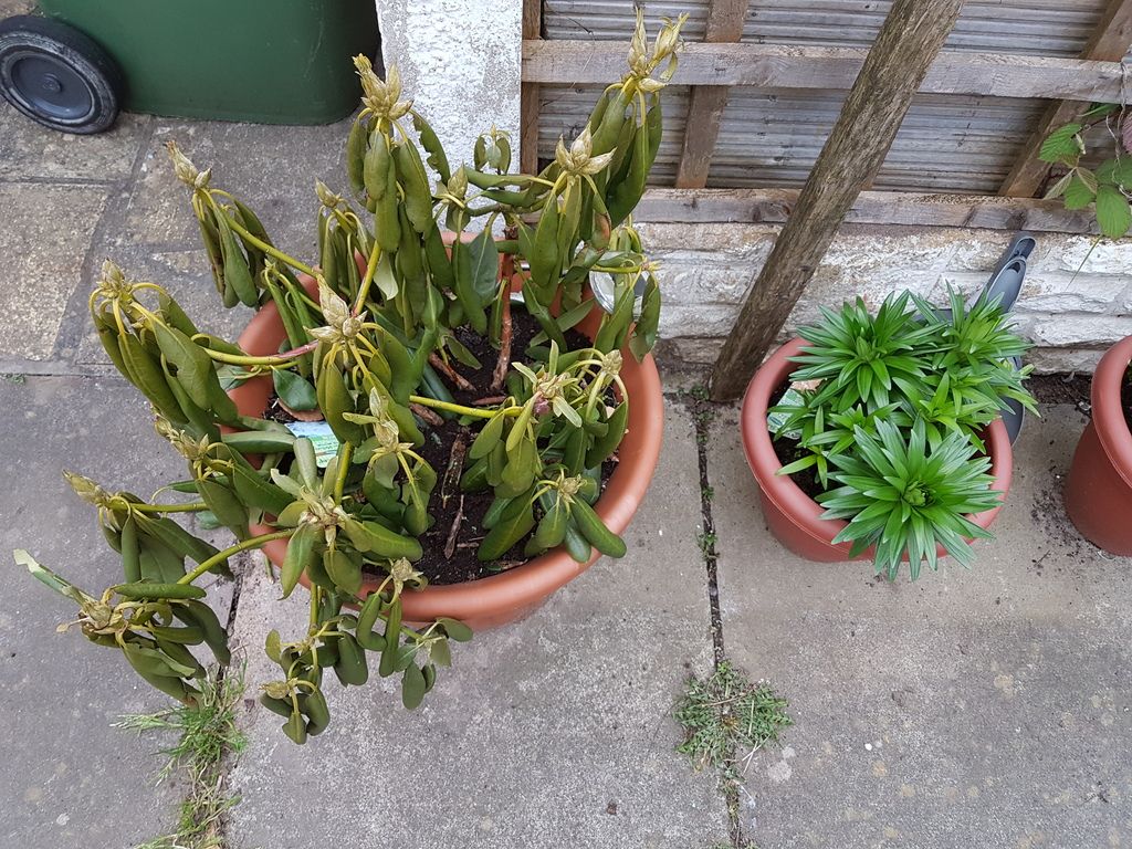 20170421_190521.jpg