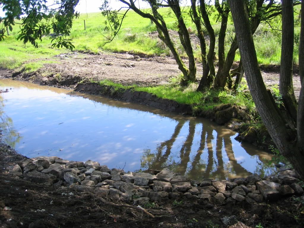 Picture274.jpg