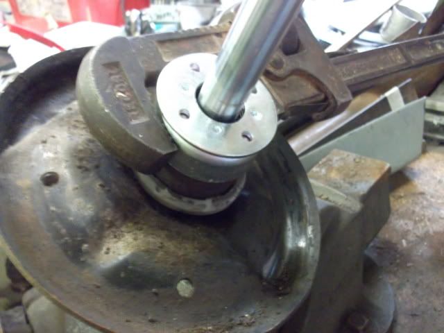 frontshocks015.jpg
