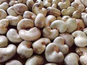 cashew-nut.jpg