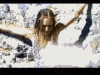 temp.gif