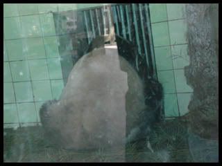 ※虹ちゃんのひとりごと※ Ver 3.0