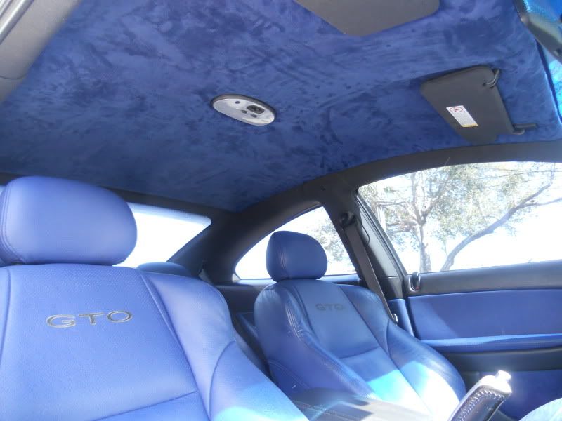 Blue Suede Headliner (pics) Forums