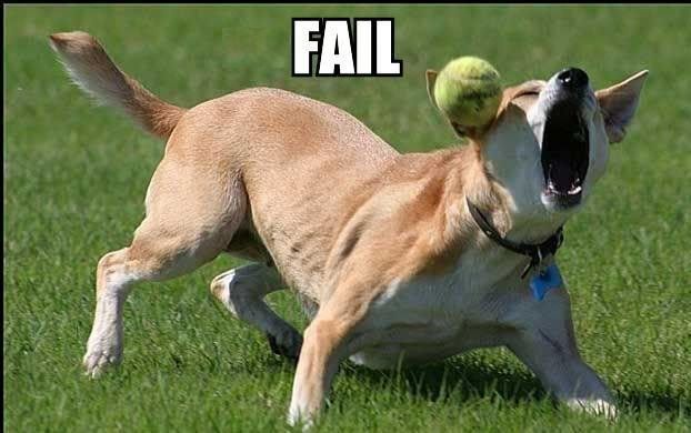 dog-fail.jpg