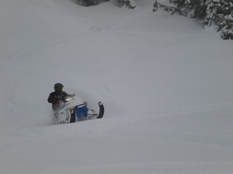 Revelstoke-Feb6-82009056.jpg