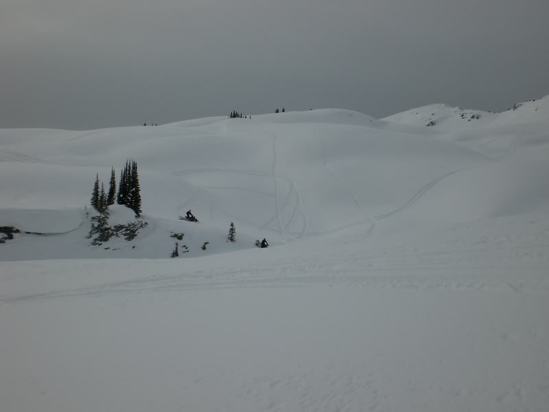 Revelstoke-Feb6-82009093.jpg