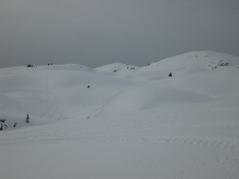 Revelstoke-Feb6-82009094.jpg