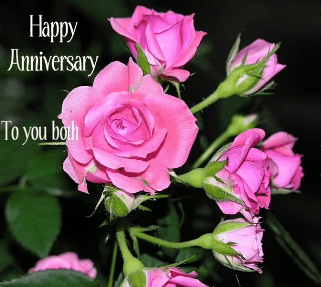 Image result for happy anniversary to both of you images