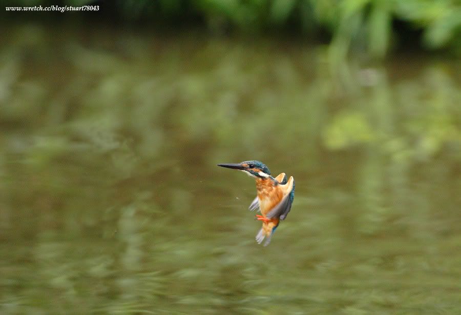 Photo Sharing and Video Hosting at Photobucket