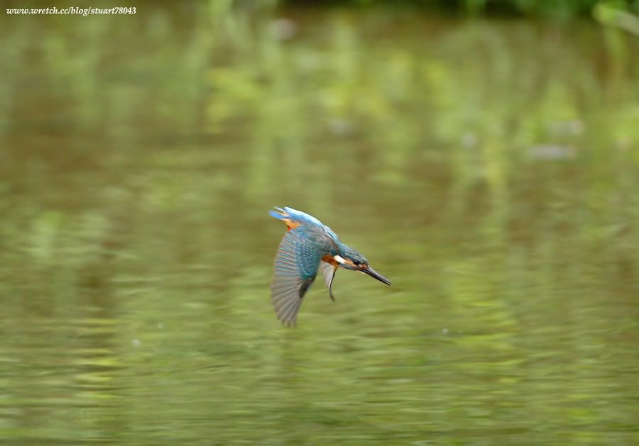 Photo Sharing and Video Hosting at Photobucket