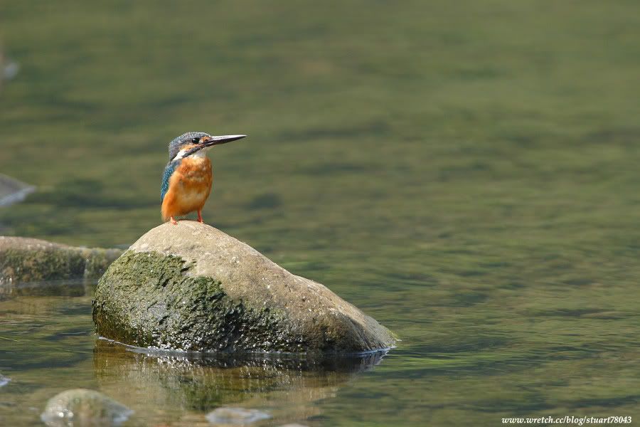 Photo Sharing and Video Hosting at Photobucket