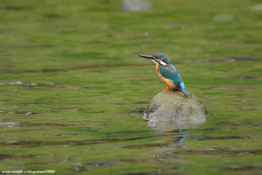 Photo Sharing and Video Hosting at Photobucket