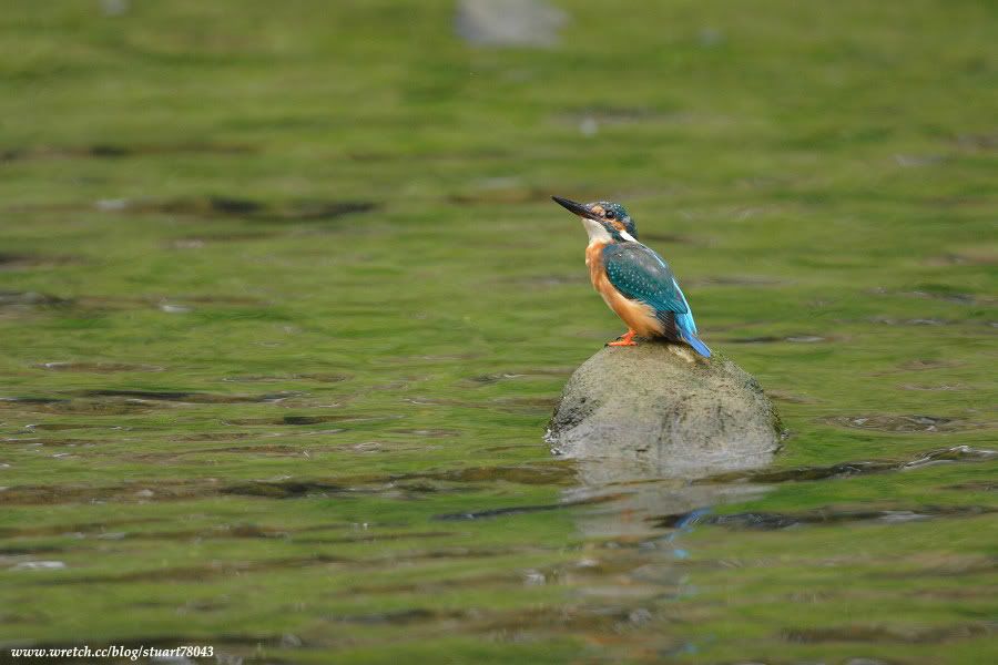 Photo Sharing and Video Hosting at Photobucket