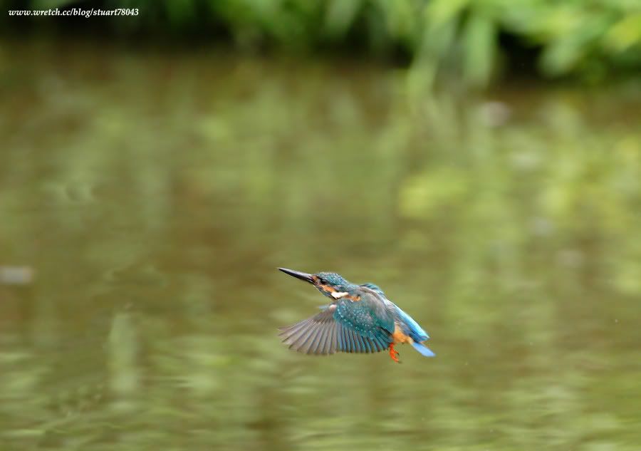 Photo Sharing and Video Hosting at Photobucket