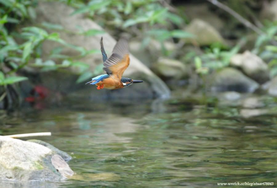 Photo Sharing and Video Hosting at Photobucket