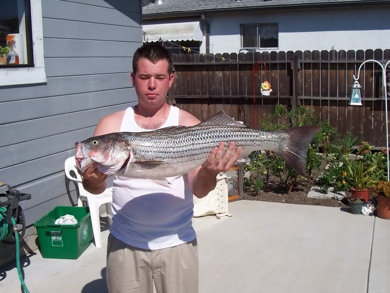 fishpic1.jpg