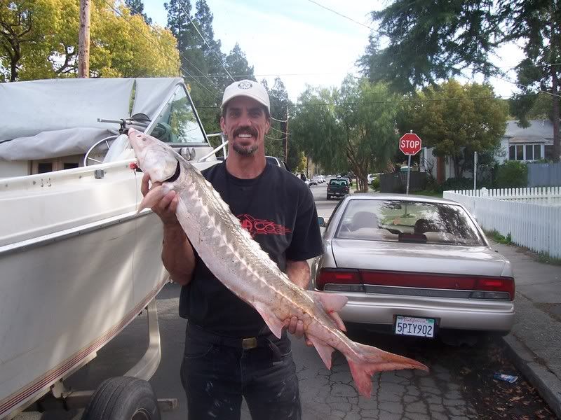 fishpic4.jpg
