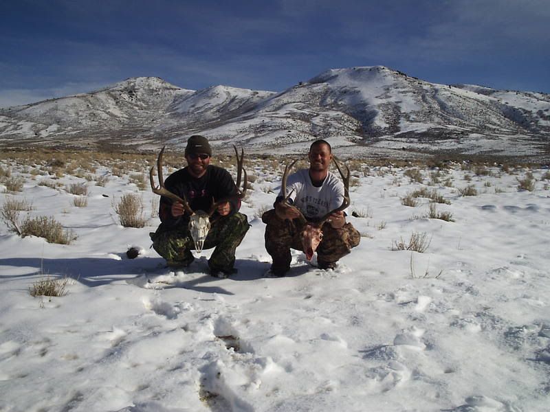 Utah2006Muledeerhuntnortheastern-2.jpg