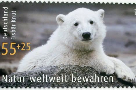 BKnut.jpg picture by postzegel