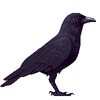 crow.gif