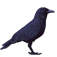 crow2.gif