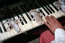 Photobucket - Video and Image Hosting