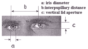 File Attachment: