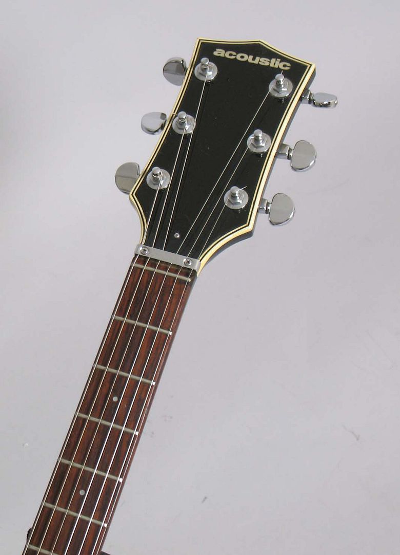  photo 1970AcousticBlackWidow047.jpg