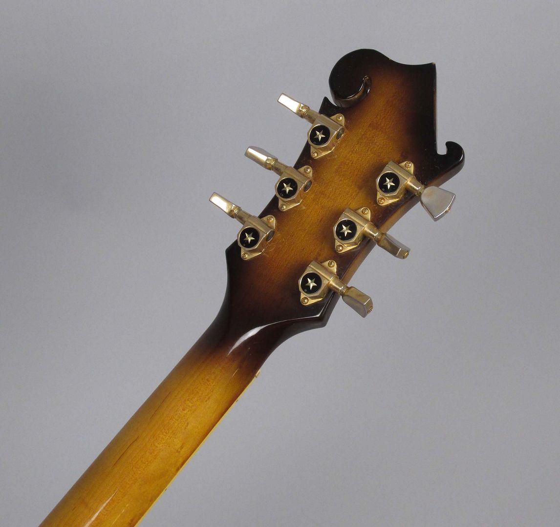  photo 1975IbanezCustomAgent2405Sunburst048.jpg