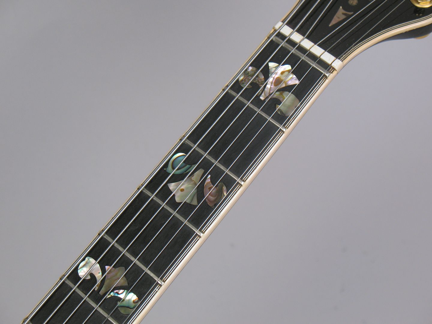  photo 1979GretschCuperChet013057.jpg