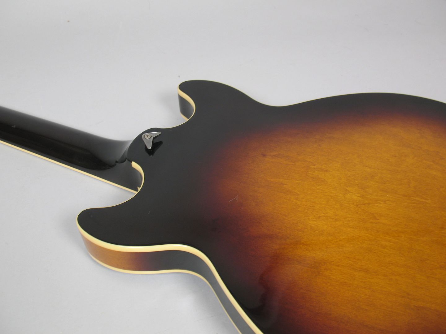  photo 1983IbanezAm-50Sunburst033.jpg