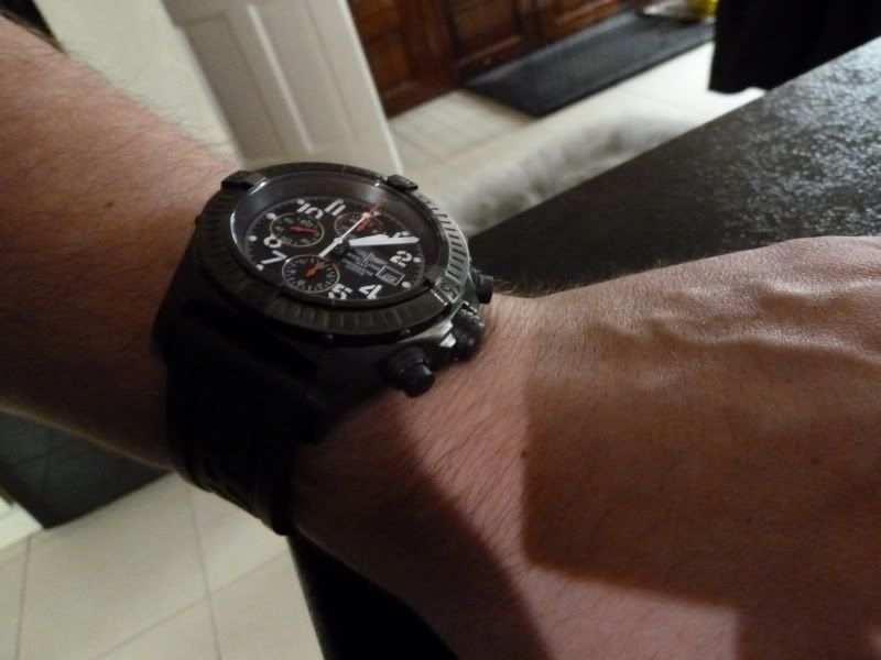 P1000513.jpg