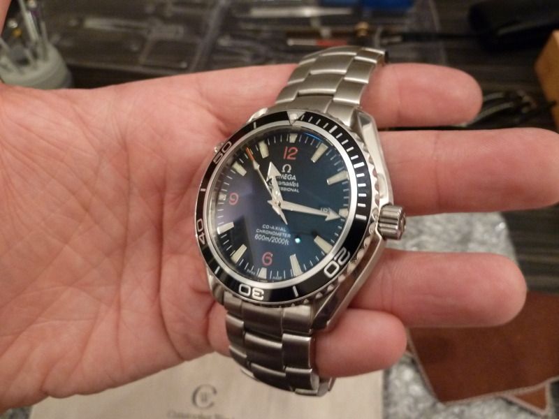 P1000647.jpg