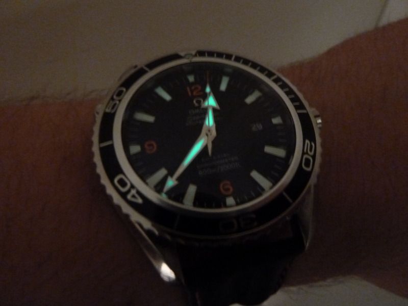 P1000774.jpg