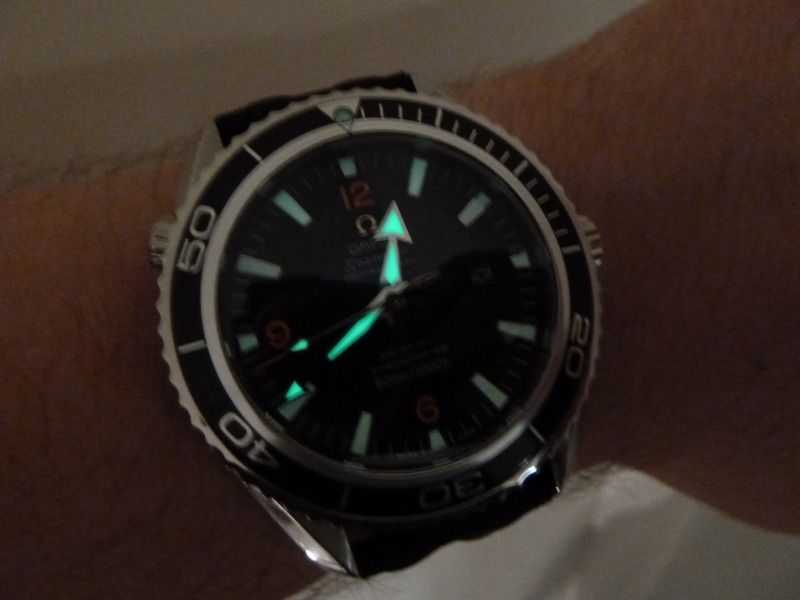 P1000775.jpg
