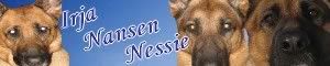nessie-1.jpg