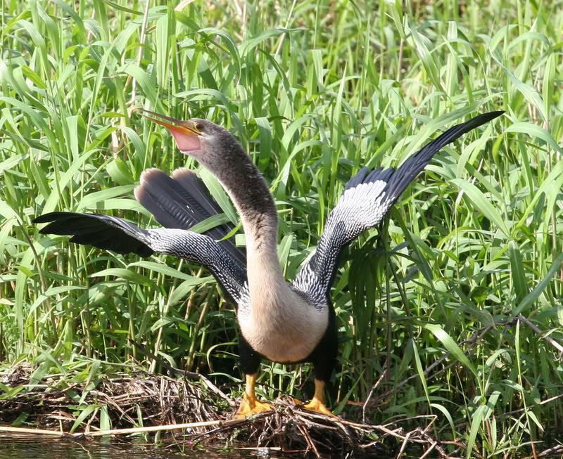 IMAGE: http://i79.photobucket.com/albums/j159/irispatch/Ithinkthisismybestside.jpg