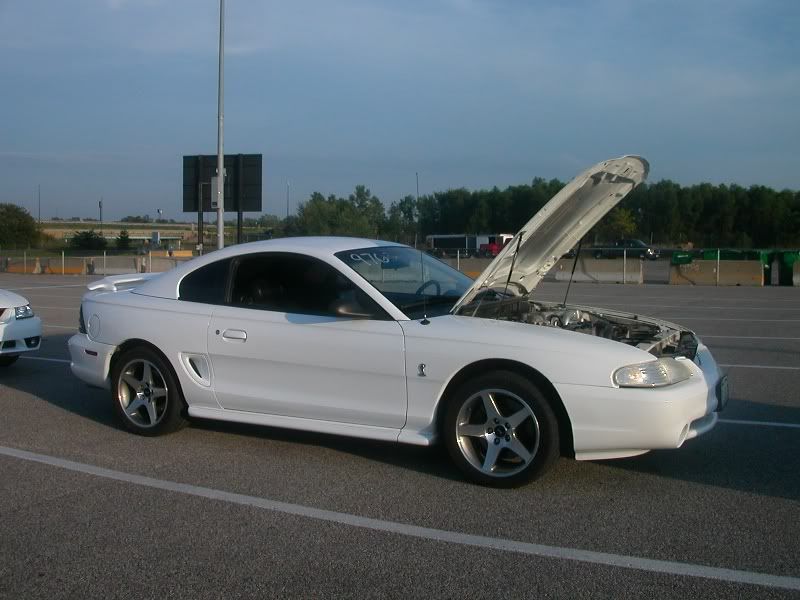 Posted Image