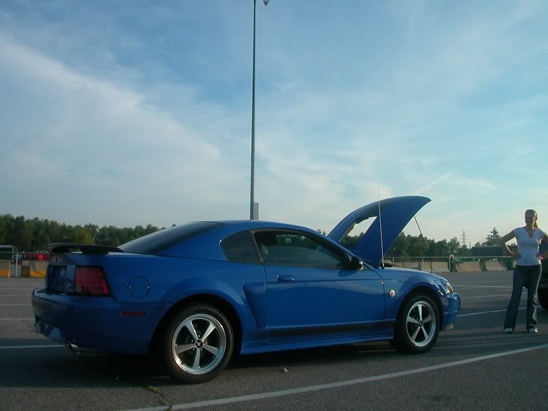 Posted Image